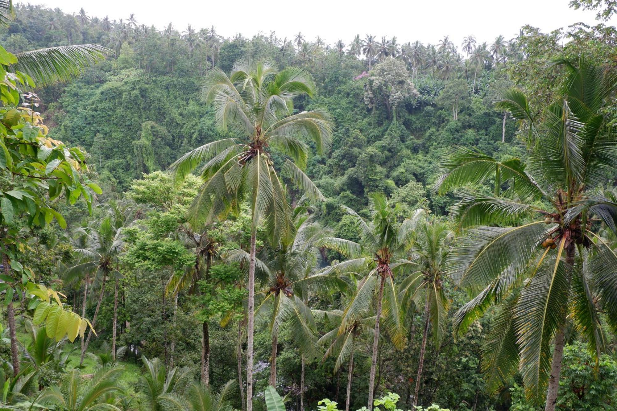 Aum Resort Pulukan Luaran gambar